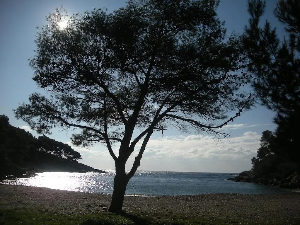 Holiday home Bandol-Maison La Bienvenue 9Mn A Pied Mer-Calanque Port D'Alon-Grand Jardin+Fibre Wifi Saint-Cyr-sur-Mer