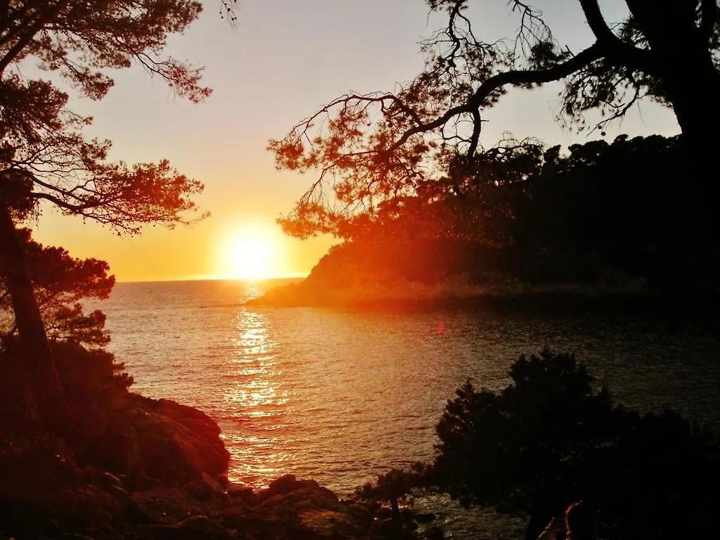 Holiday home Bandol-Maison La Bienvenue 9Mn A Pied Mer-Calanque Port D'Alon-Grand Jardin+Fibre Wifi Saint-Cyr-sur-Mer France